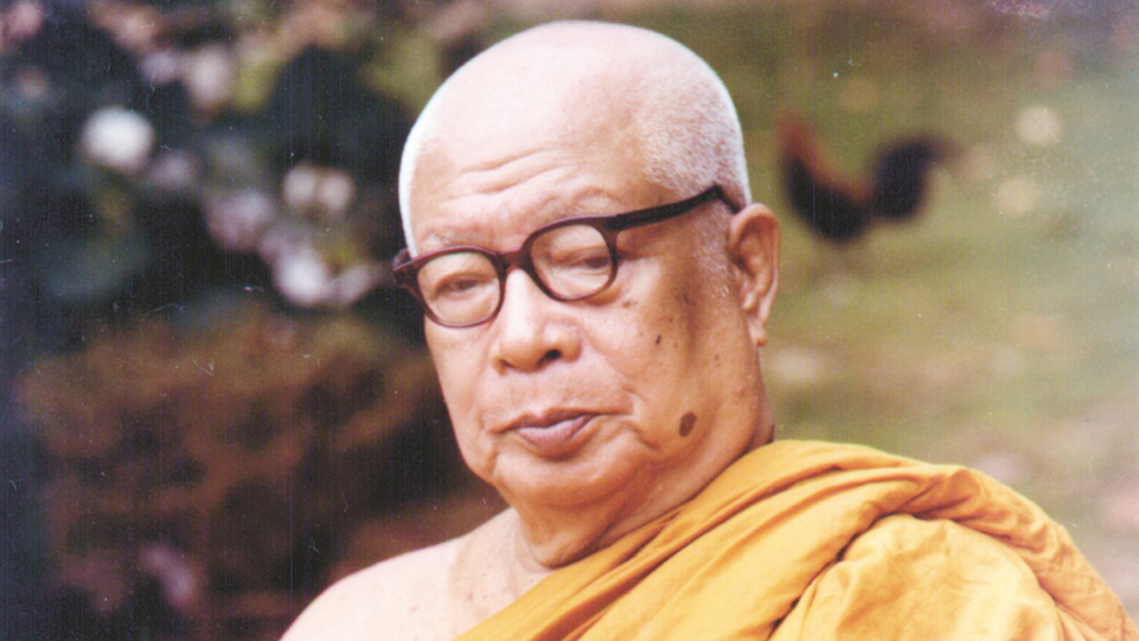 พุทธทาสภิกขุ